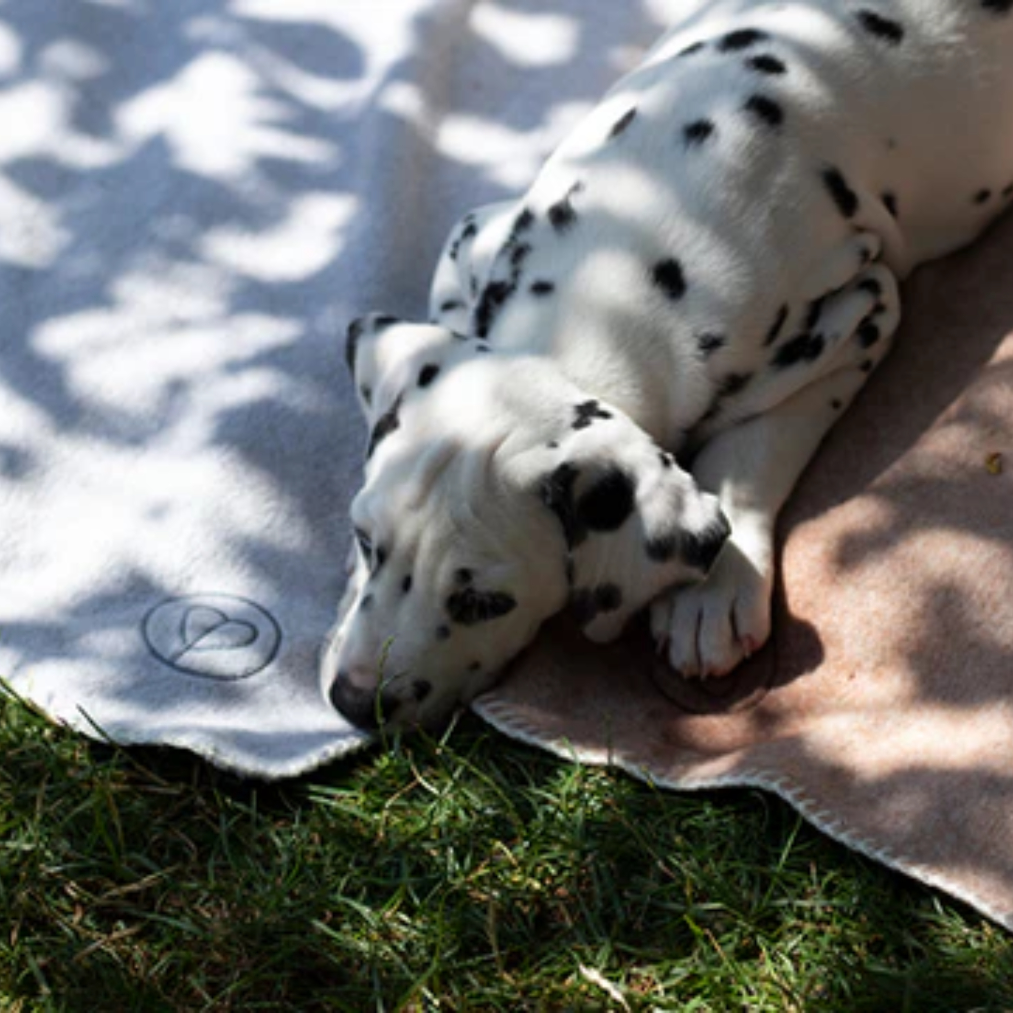  Legowiska_dla_Psa_Saszetka_na_Smaczki