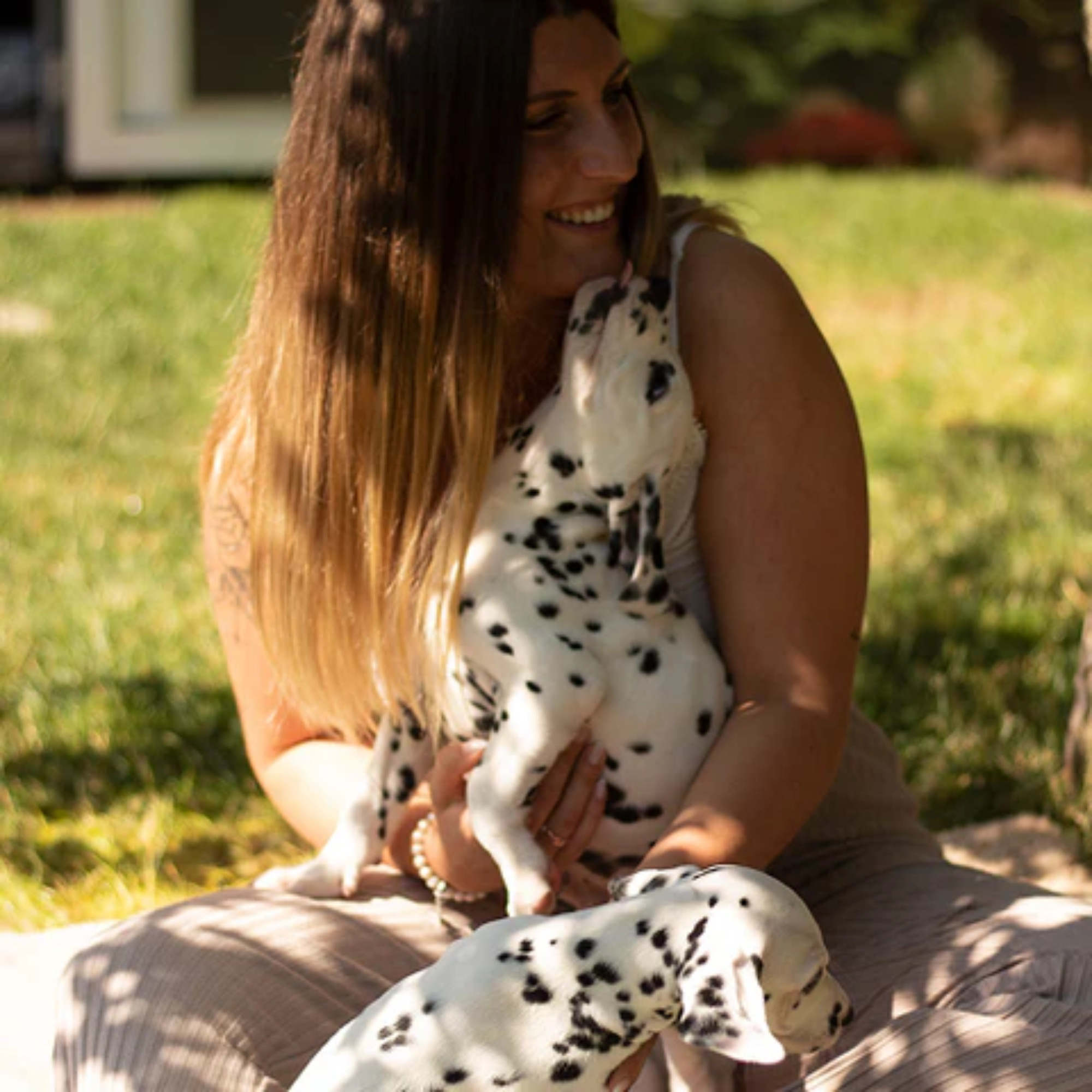  Wyprawka_dla_Szczeniaka_od_Palopa_Pets