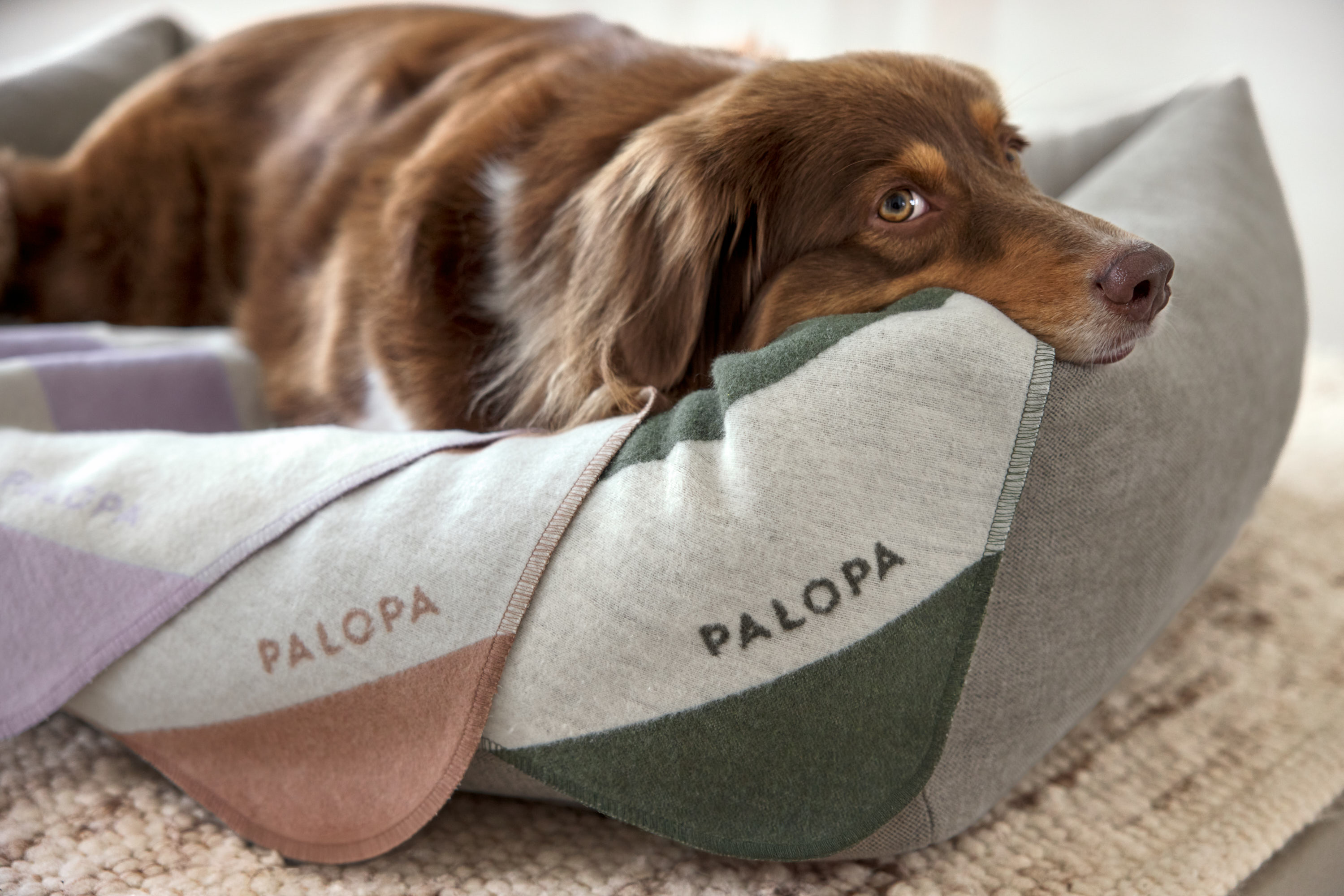 legowisko_dla_psa_palopa