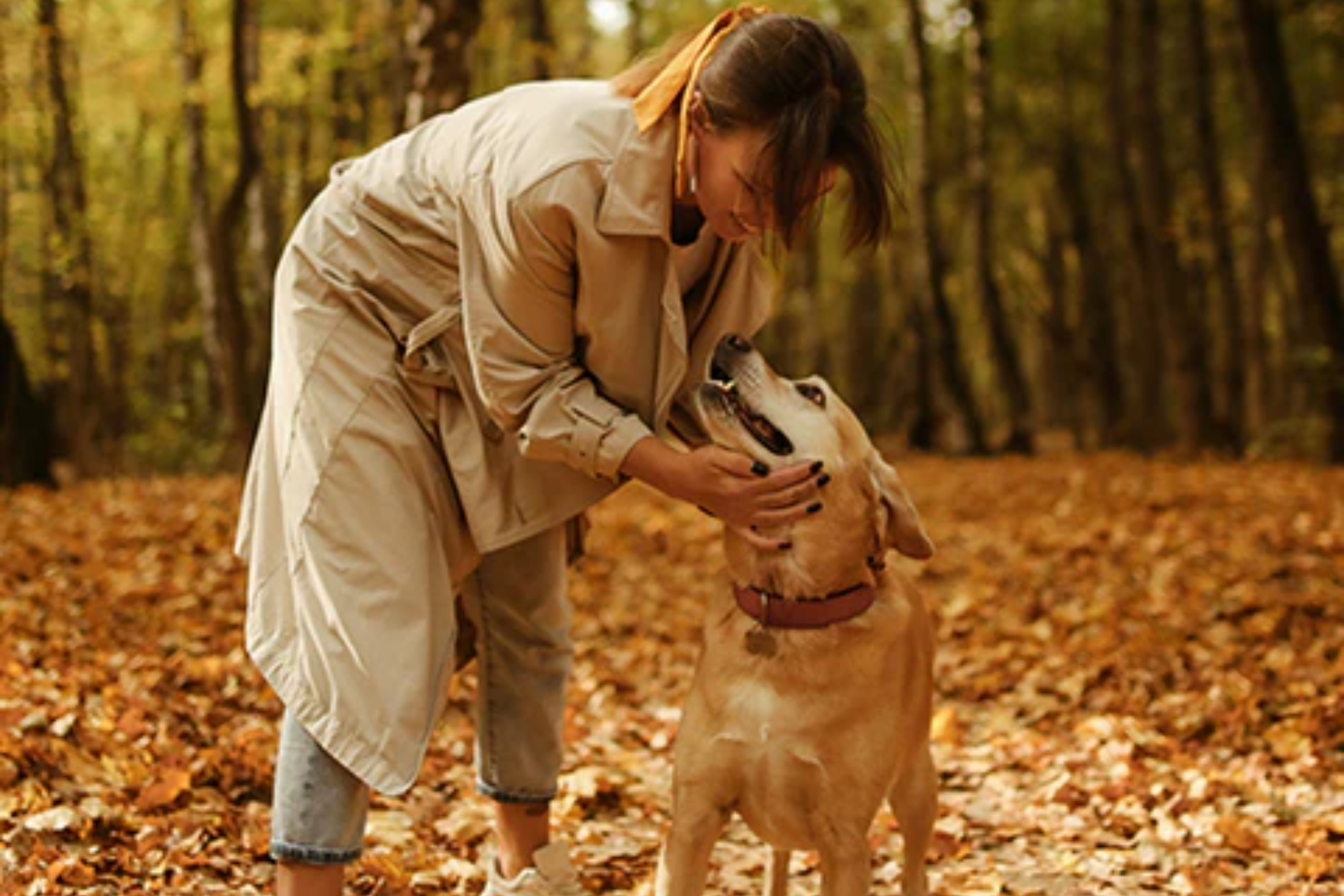 palopa_jesienne_spacery_z_psem