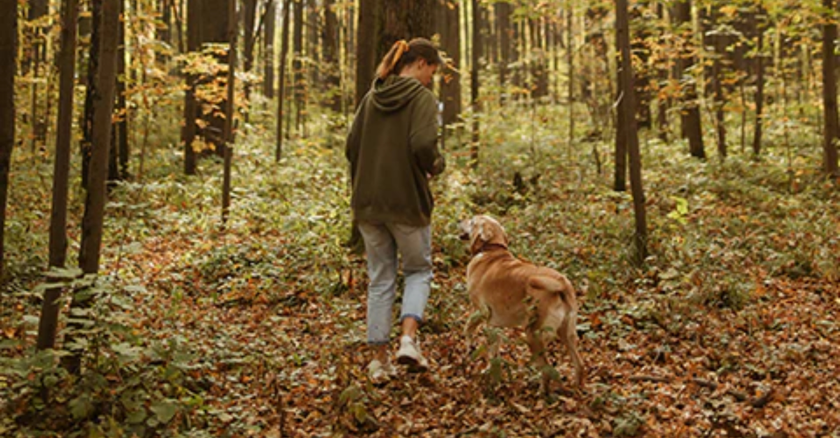 Przydatne porady na jesień z czworonożnymi przyjaciółmi