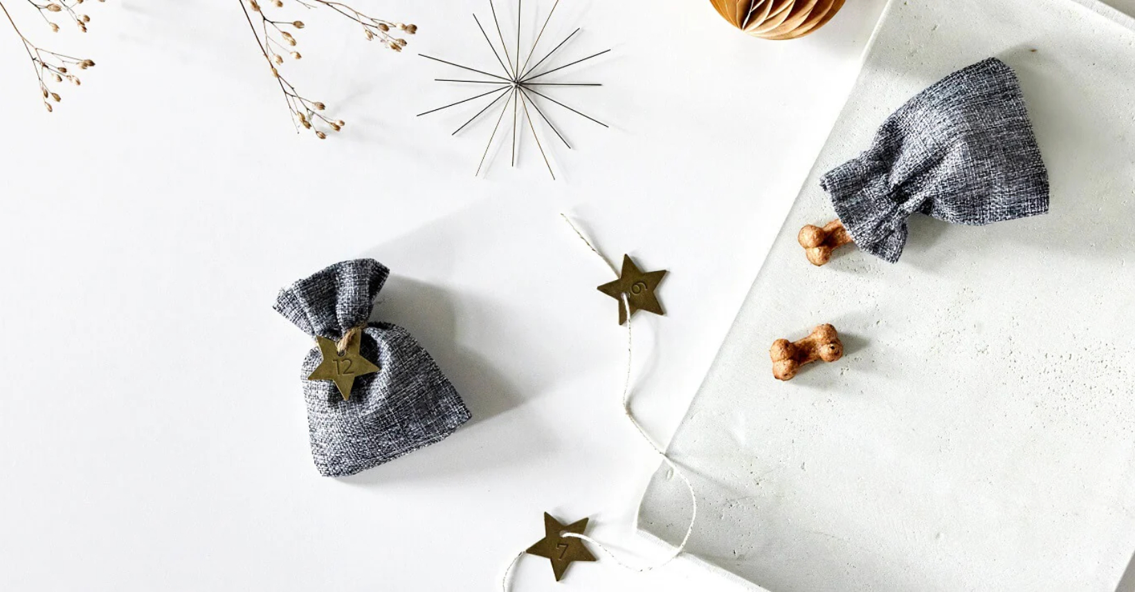 Adwentowy kalendarz dla psa – 24 wyjątkowe pomysły i prezenty od PALOPA