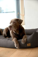 PALOPA Legowisko dla psa bawełniane Fred anthracite L