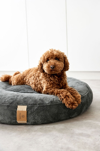 PALOPA Okrągłe legowisko donut dla psa Fippa anthracite M-L