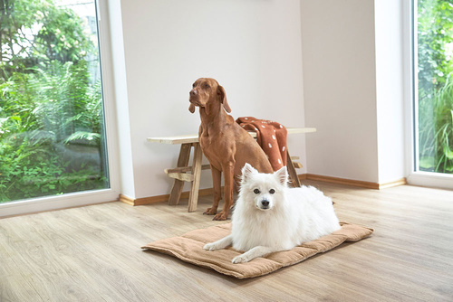 PALOPA Mata dla psa Alma humus S