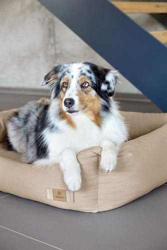 PALOPA Legowisko dla psa bawełniane Fred humus XS