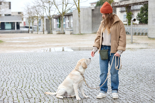 PALOPA Torebka saszetka na smakołyki dla psa Karl dark olive M