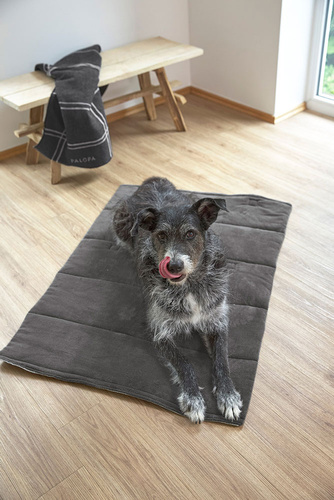 PALOPA Mata dla psa Alma anthracite S