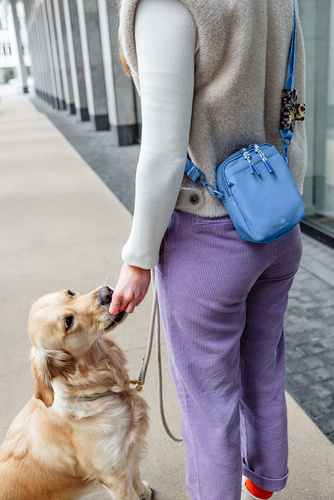 PALOPA Torebka saszetka na smakołyki dla psa Greta sky blue L