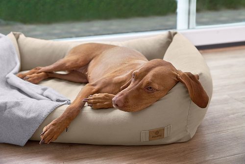 PALOPA Legowisko dla psa bawełniane Fred humus S