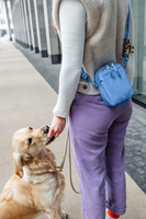 PALOPA Torebka saszetka na smakołyki dla psa Greta sky blue L