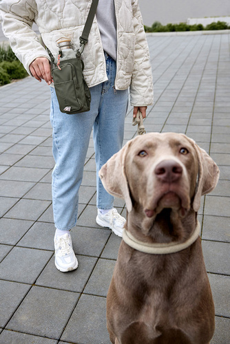 PALOPA Torebka saszetka na butelkę i smakołyki 2w1 Boudi dark olive