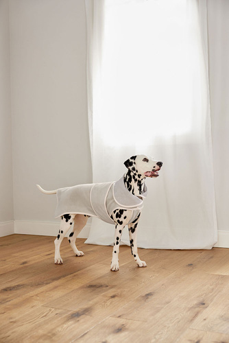 PALOPA Szlafrok dla psa Robi beige L