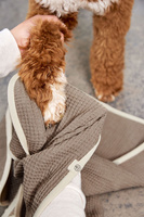 PALOPA Ręcznik dla psa Nobs taupe M-L