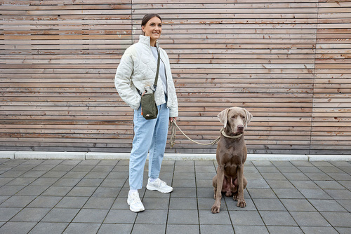 PALOPA Torebka saszetka na butelkę i smakołyki 2w1 Boudi dark olive