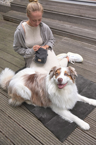 PALOPA Mata dla psa Alma anthracite S