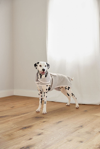 PALOPA Szlafrok dla psa Robi beige S