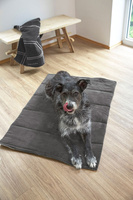 PALOPA Mata dla psa Alma anthracite S