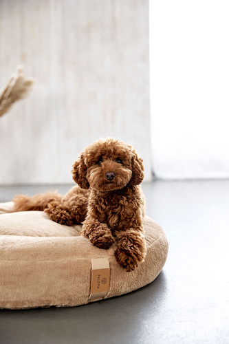 PALOPA Okrągłe legowisko donut dla psa Fippa humus S