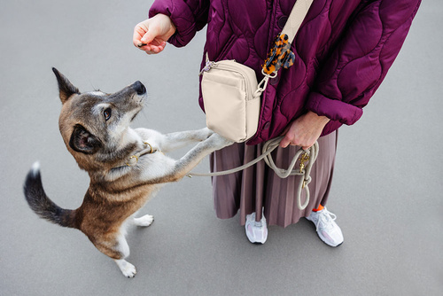 PALOPA Torebka saszetka na smakołyki dla psa Greta creme L