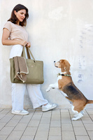 PALOPA Torba i mata dla psa 2w1 Nobo sage