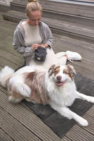 PALOPA Mata dla psa Alma anthracite S