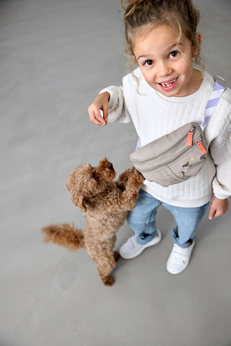 PALOPA Torebka nerka na smakołyki dla psa mini Enja taupe