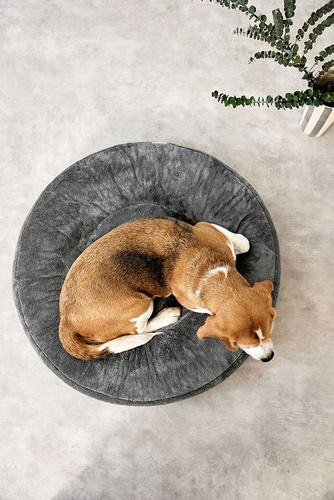 PALOPA Okrągłe legowisko donut dla psa Fippa anthracite M-L