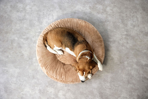 PALOPA Okrągłe legowisko donut dla psa Fippa humus M-L