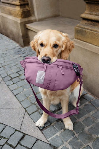 PALOPA Torebka nerka na smakołyki dla psa Emma berry