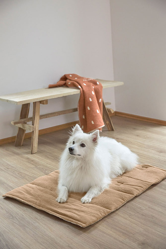 PALOPA Mata dla psa Alma humus S