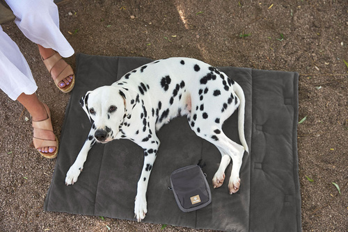 PALOPA Mata dla psa Alma anthracite S