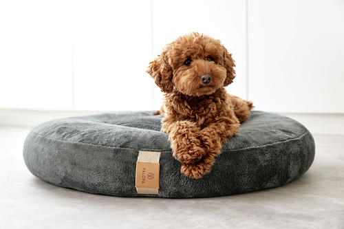 PALOPA Okrągłe legowisko donut dla psa Fippa anthracite S