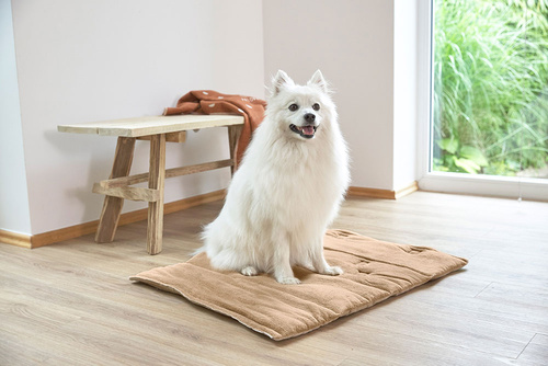 PALOPA Mata dla psa Alma humus S