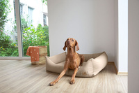 PALOPA Legowisko dla psa bawełniane Fred humus XS