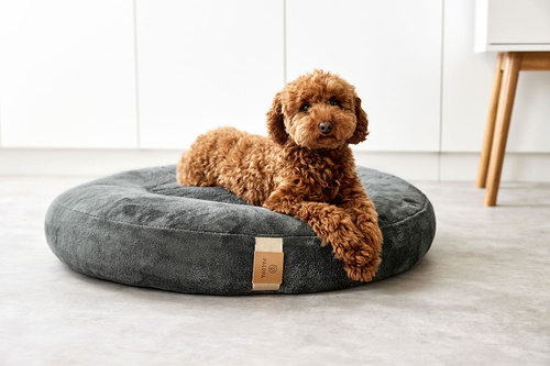 PALOPA Okrągłe legowisko donut dla psa Fippa anthracite M-L