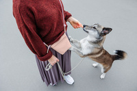 PALOPA Torebka saszetka na smakołyki dla psa Karl soft pink M