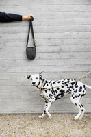 PALOPA Torebka saszetka na smakołyki dla psa Greta black L