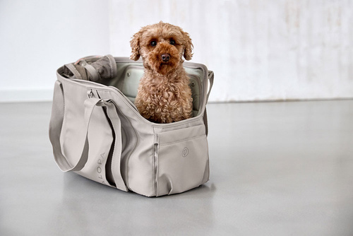 PALOPA Torba transportowa dla psa do 10kg Weda taupe