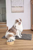 PALOPA Mata dla psa Alma anthracite S