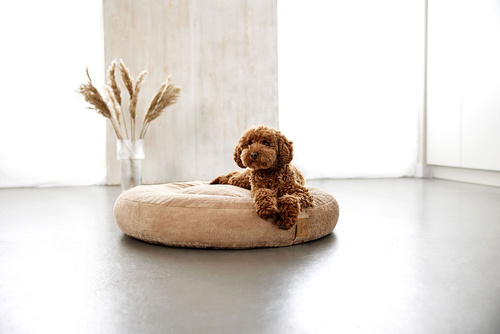 PALOPA Okrągłe legowisko donut dla psa Fippa humus S