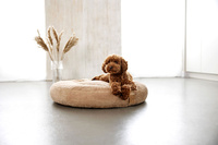 PALOPA Okrągłe legowisko donut dla psa Fippa humus S