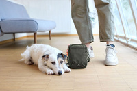 PALOPA Torebka saszetka na smakołyki dla psa Greta dark olive L