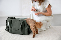 PALOPA Torba transportowa dla psa do 10kg Weda dark olive