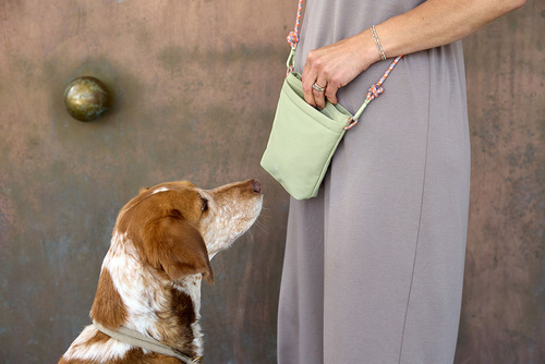 PALOPA Torebka saszetka na smakołyki dla psa Karl pale khaki M