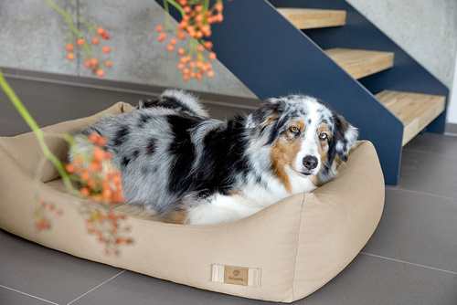 PALOPA Legowisko dla psa bawełniane Fred humus S