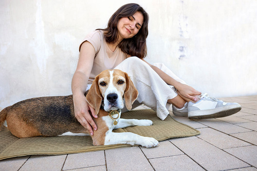 PALOPA Torba i mata dla psa 2w1 Nobo sage