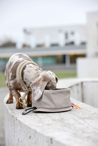 PALOPA Miska turystyczna dla psa składana Tura taupe