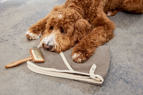 PALOPA Ręcznik dla psa Nobs taupe M-L