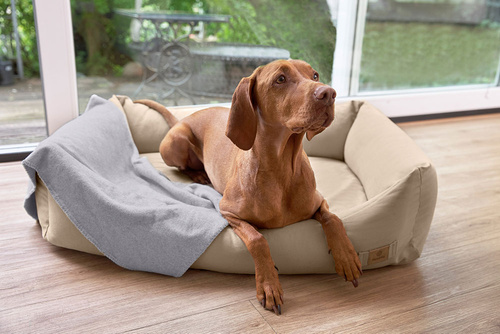 PALOPA Legowisko dla psa bawełniane Fred humus M